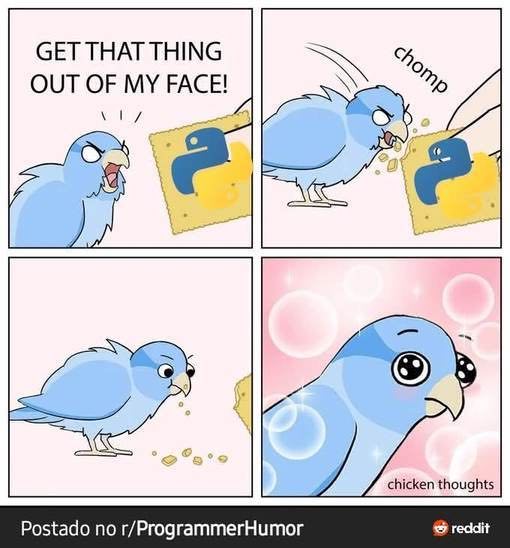 Get out, Python!